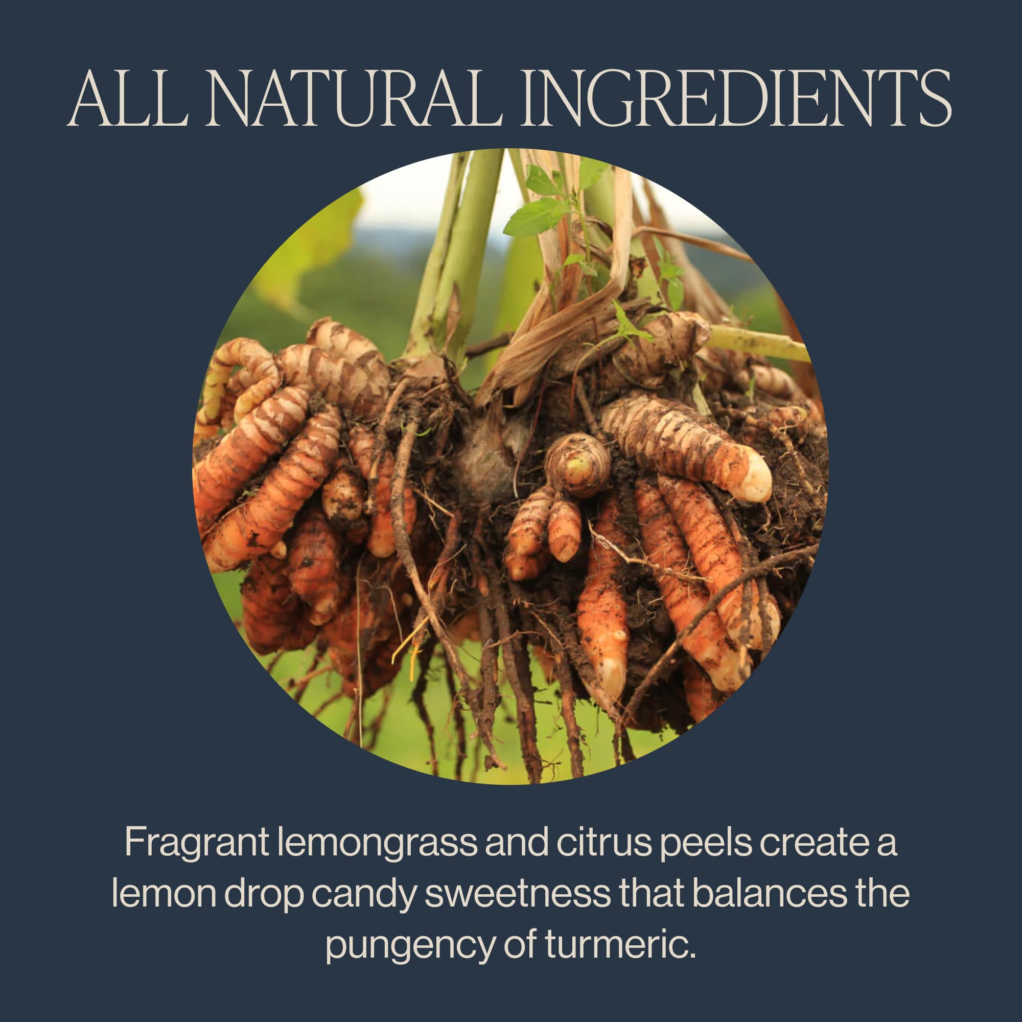 Rishi Tea Turmeric Ginger Herbal Tea USDA Organic Direct Trade Sachet Tea Bags, Certified