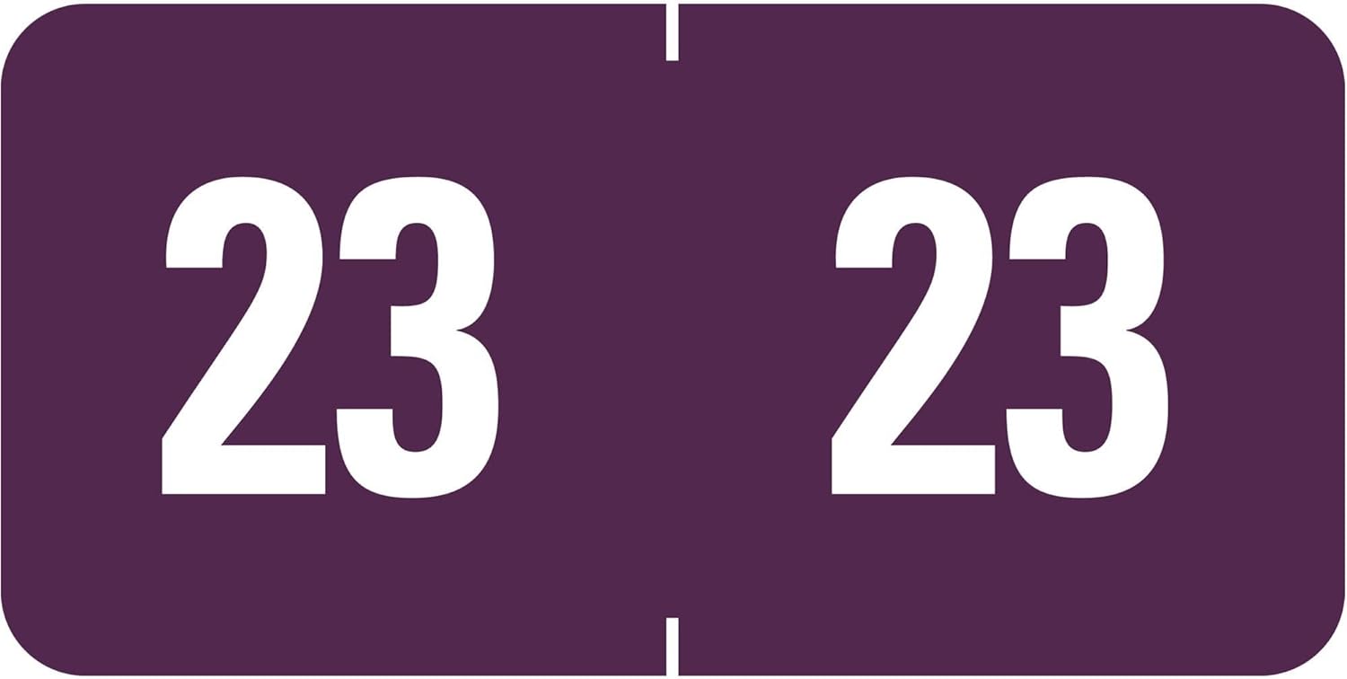 Doctor Stuff 2022 Year Stickers - Pink End Tab File Folder Labels, 500/Roll, Compatible With Smead